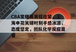 CBA常规赛赛程吃紧，上海申花关键时刻手感冰凉，态度坚定，团队化学反应显著的简单介绍-英雄联盟