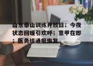 山东泰山训练开放日；今夜状态回暖引欢呼；意甲在即；医务组通报恢复的简单介绍